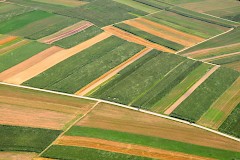 Prenova področja kmetijske zemljiške politike