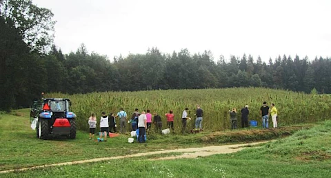 Foto Margita Adamič
