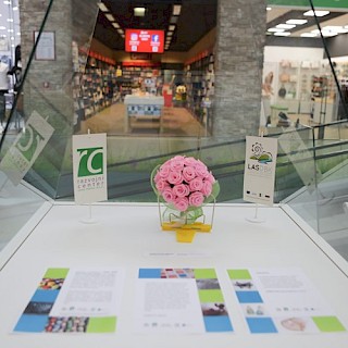 Foto Alenka Stražišar Lamovšek