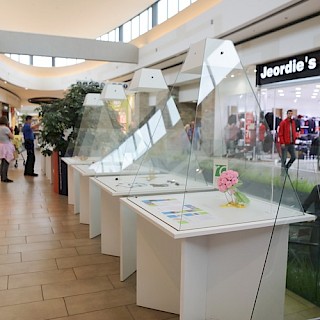 Foto Alenka Stražišar Lamovšek